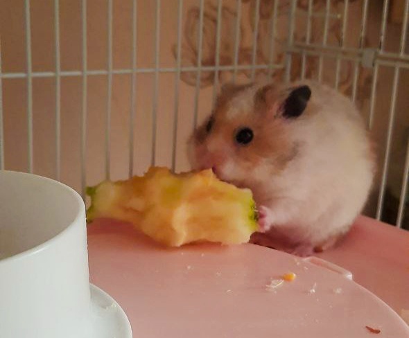 Величка знает толк в еде. 