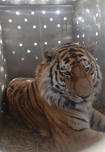    Источник фото: Скрин видео