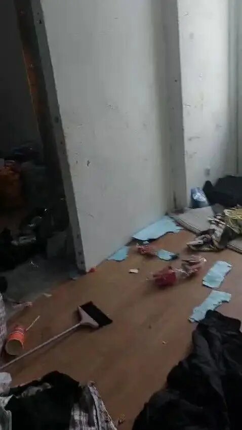    Фото: прокуратура Ленобласти