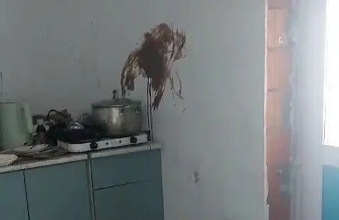    Фото: кадр видео прокуратуры Ленобласти