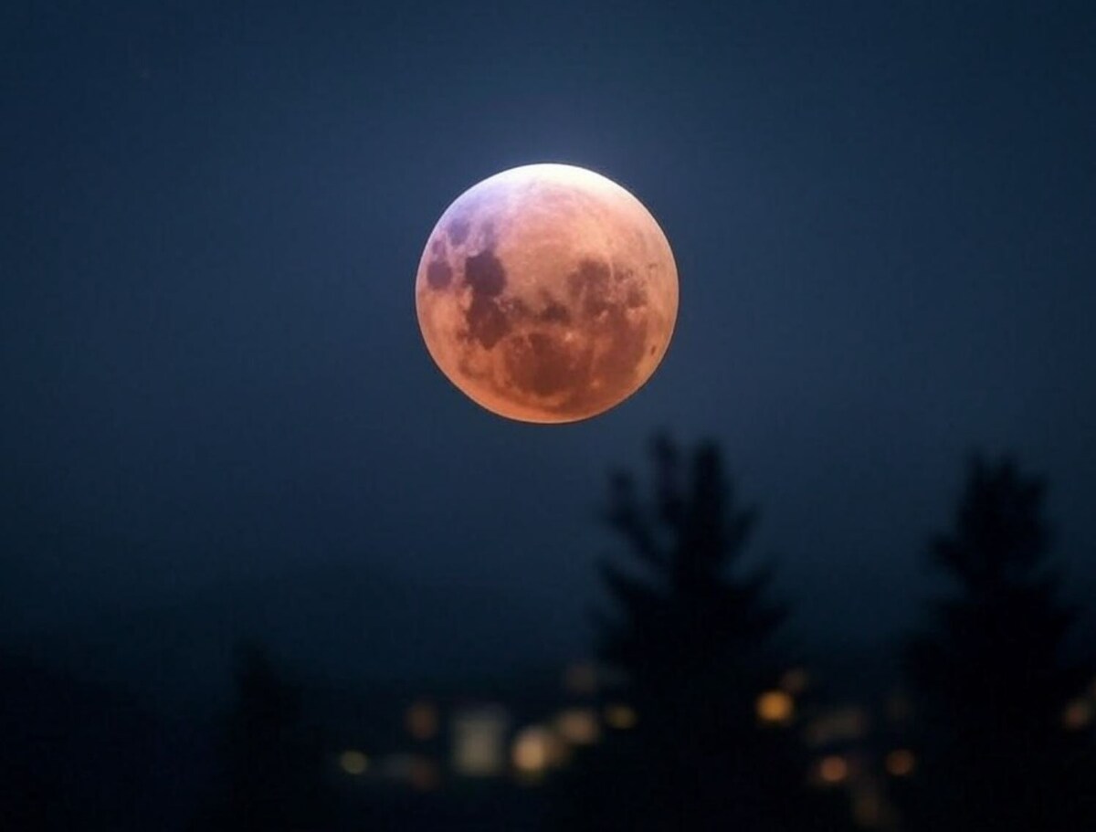 Изображение сгенерировано Grok  📷
