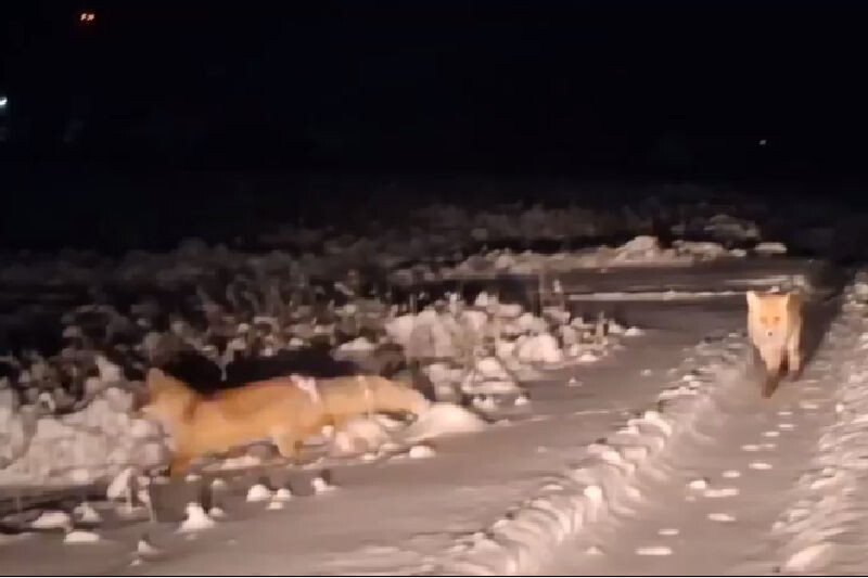    Скриншот кадров видеозаписи