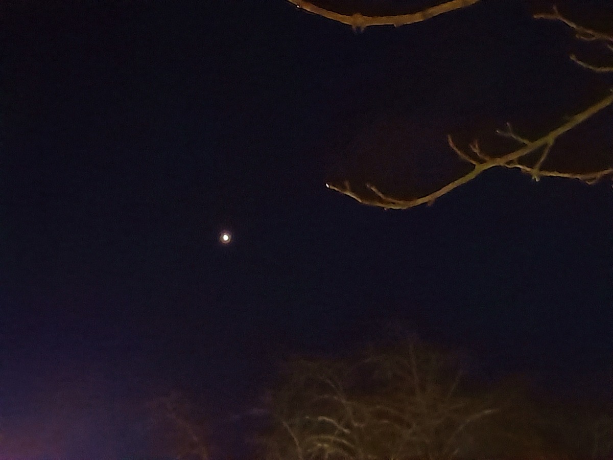 Венера. Фото автора