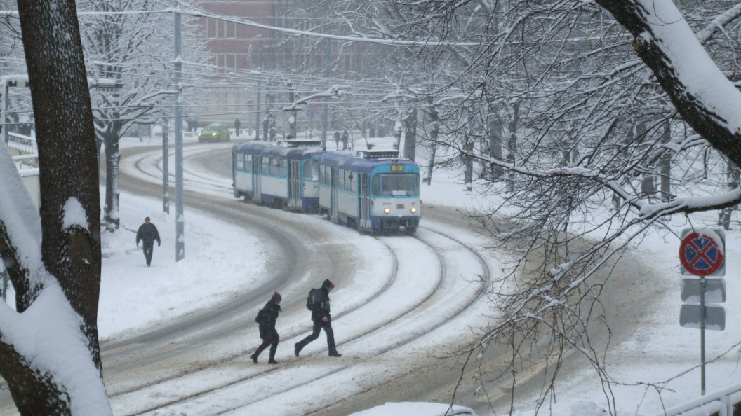    © Victor Lisitsin/Globallookpress