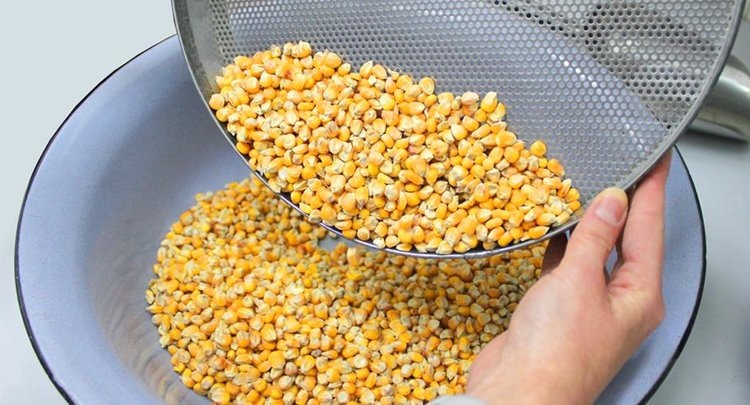    Российское зерно поплыло по Волге за рубеж