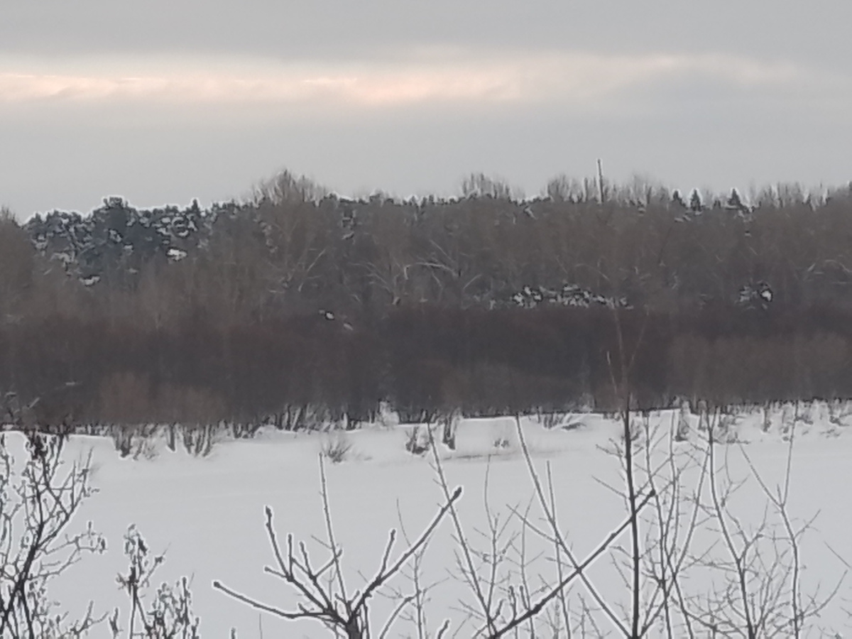 Предвесенние виды нашей Вятки