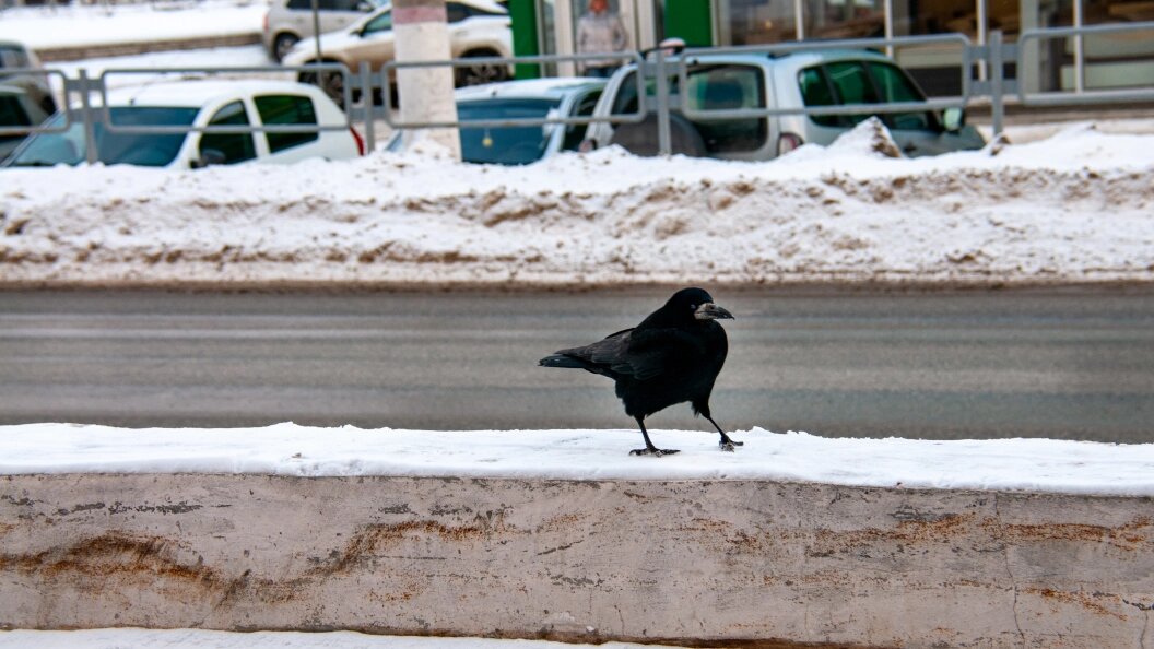    Svetlana Vozmilova/Global Look Press/Globallookpress