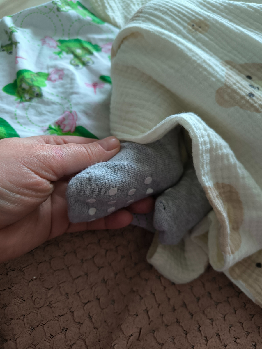 Всё фотографии авторские