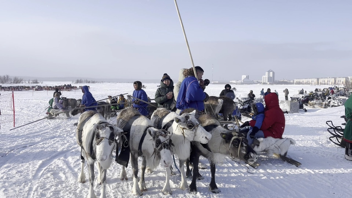 Надым первым из городов Ямала отмечает День оленевода