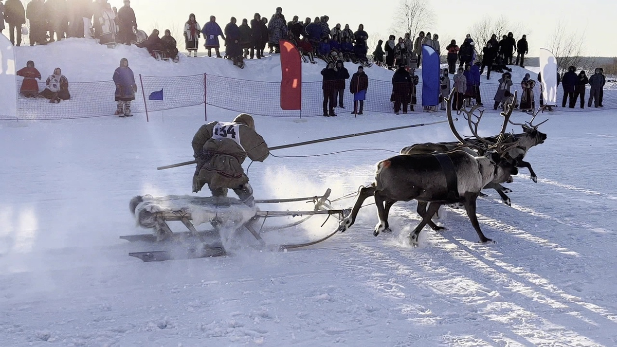 Гонки на оленьих упряжках - самое захватывающее зрелище праздника