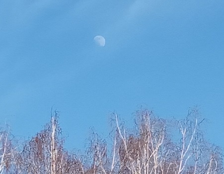 Фотография из личного архива автора