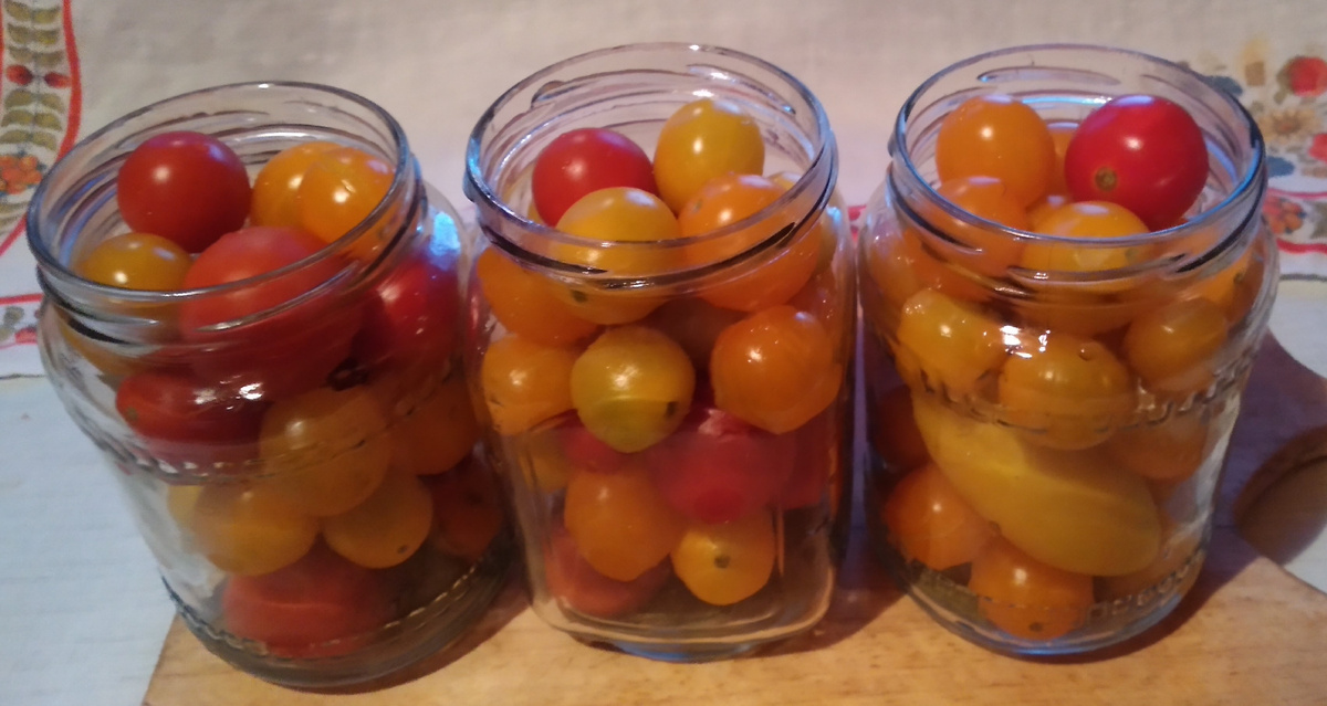 Заготовки 2024 г.