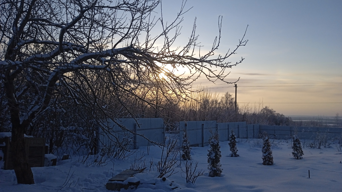 Февраль в Каменке, у меня во дворе на рассвете
