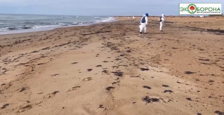    Кадр с ютуб-канала "Экооборона"