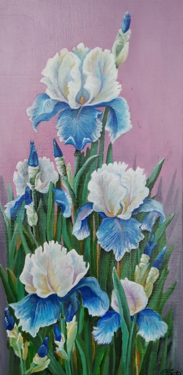 Холст 40х60, масло " Ирисы" А вот чтобы добиться  ароматного запаха розы, нужно было переработать около 3 тонн липестков, чтобы получить  килограмм розового масла. 