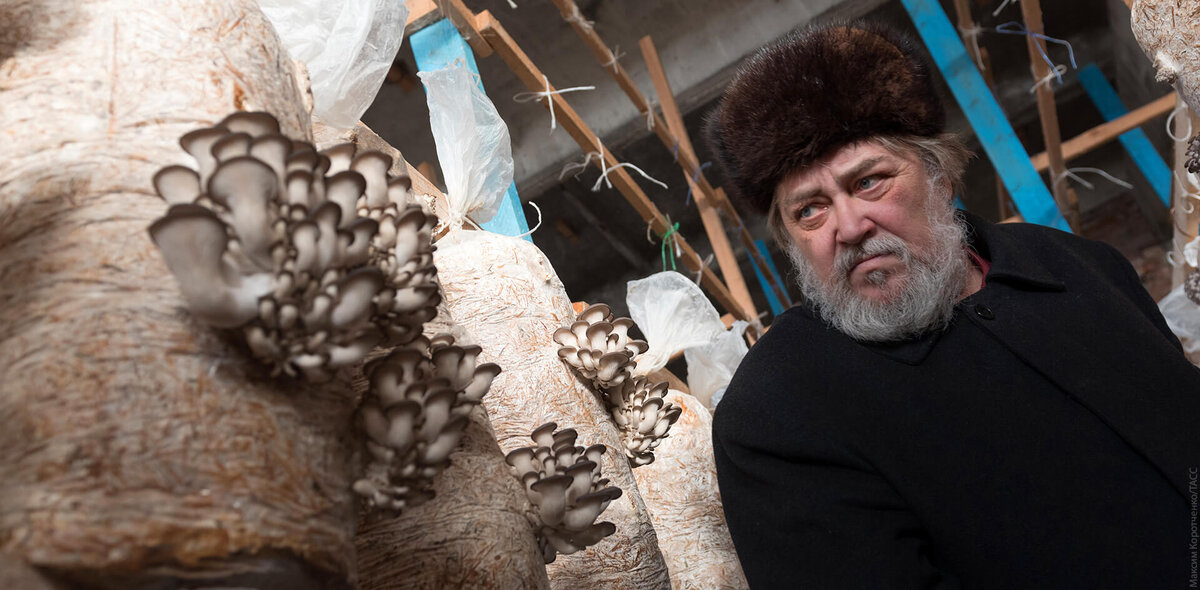 Фото: Максим Коротченко/ТАСС