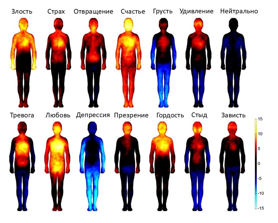 Ресурс https://www.pnas.org/doi/full/10.1073/pnas.1321664111