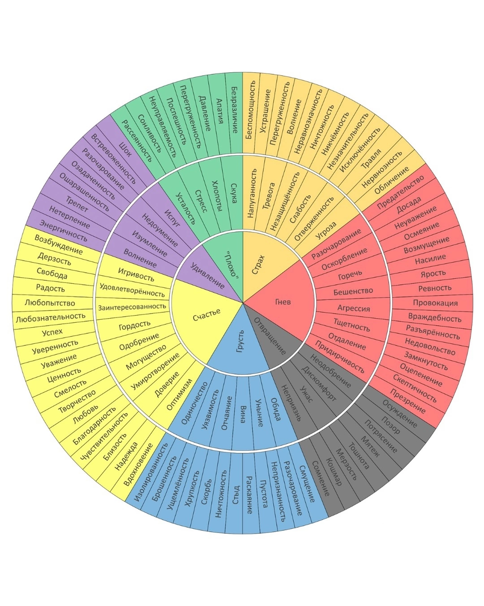 Вот это, к примеру, круг эмоций. Вот сколько всего мы можем испытывать. А можем ли осознать, что именно сейчас испытываем? Вряд ли…