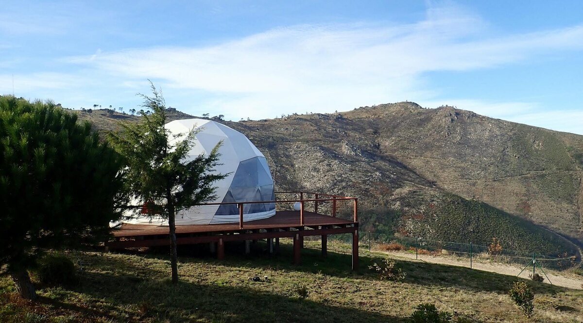 Фото: Anna Ana / Unsplash