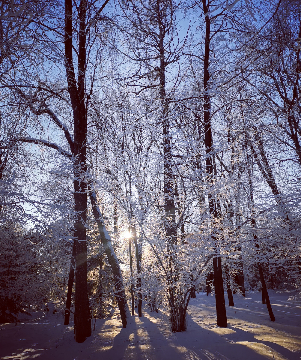 Личное фото автора.