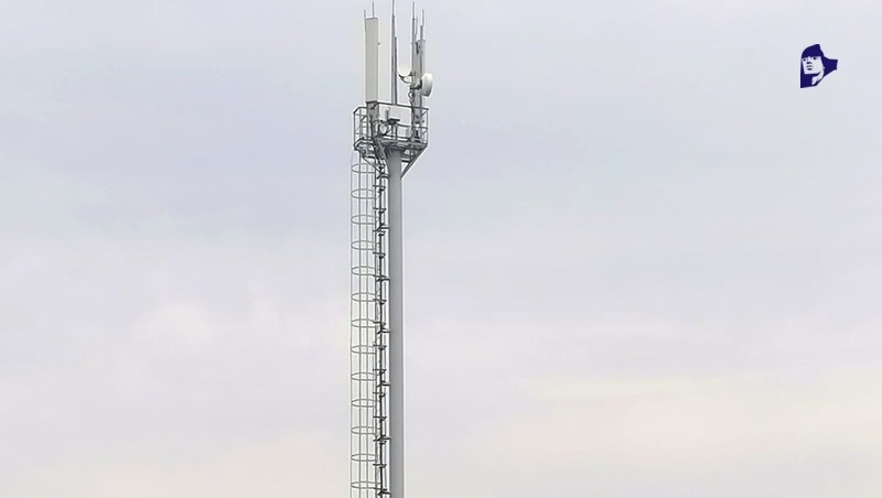      Фото: пресс-служба МТС