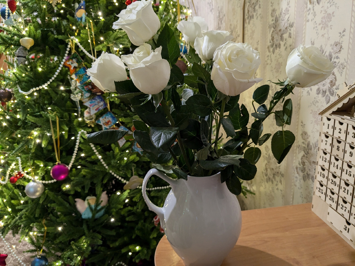 Срезочные розы хороши в букетах, а не в саду, но это сугубо моё мнение