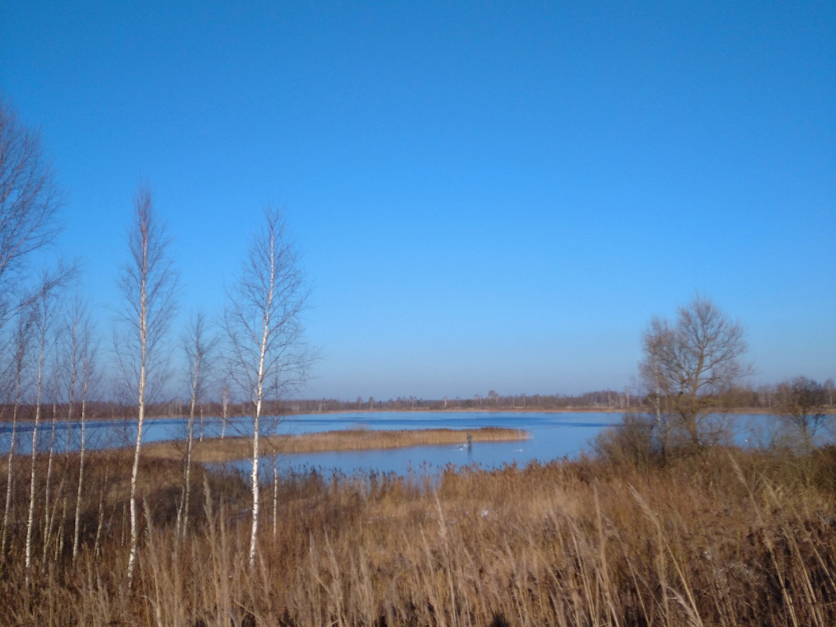 Тишина, которой нет на городских улицах. Старые-добрые времена