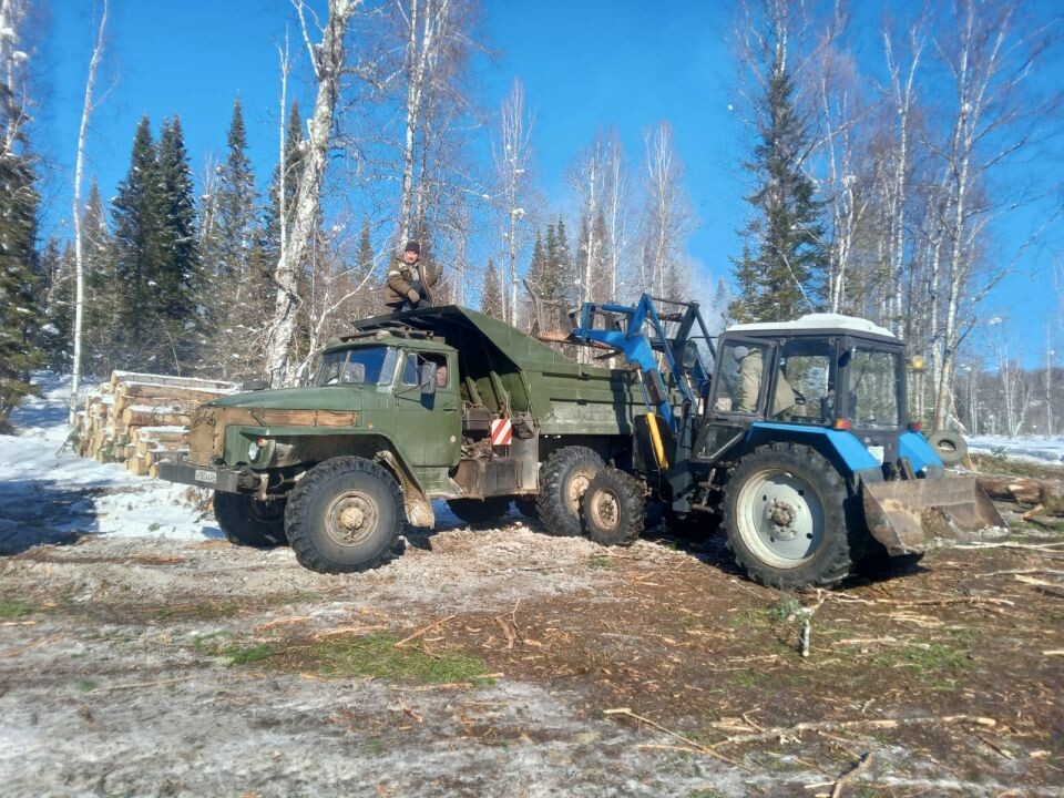    Заготовка льготных дров для населения . Источник: Министерство природных ресурсов и экологии Республики Алтай