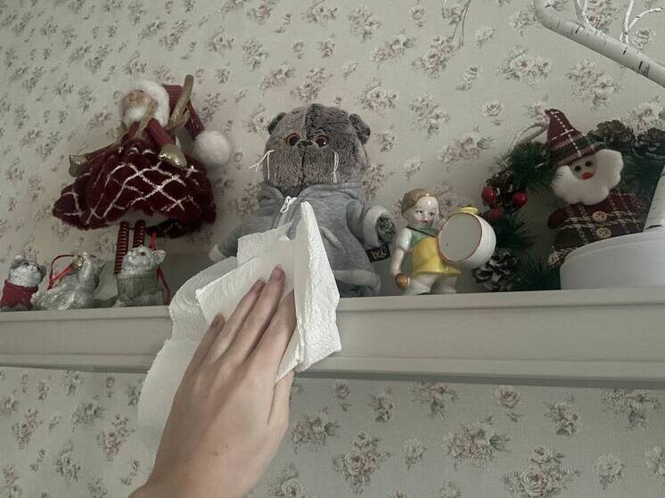     Психолог Болзан посоветовала жителям Хакасии разделять домашние обязанности. Фото: МК в Хакасии