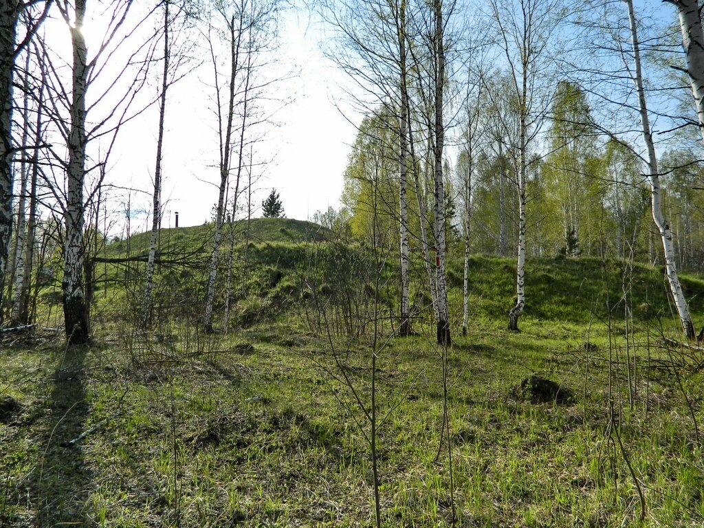 Странный холм посреди леса