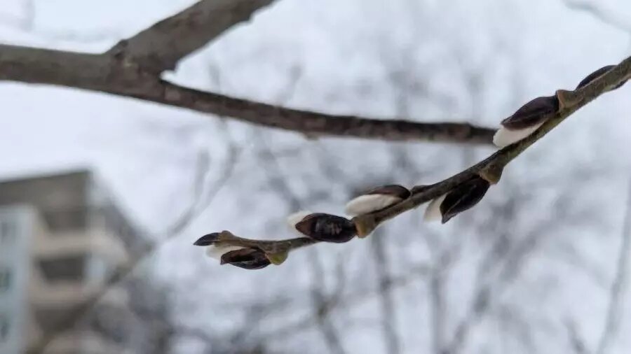     Источник: Newslab