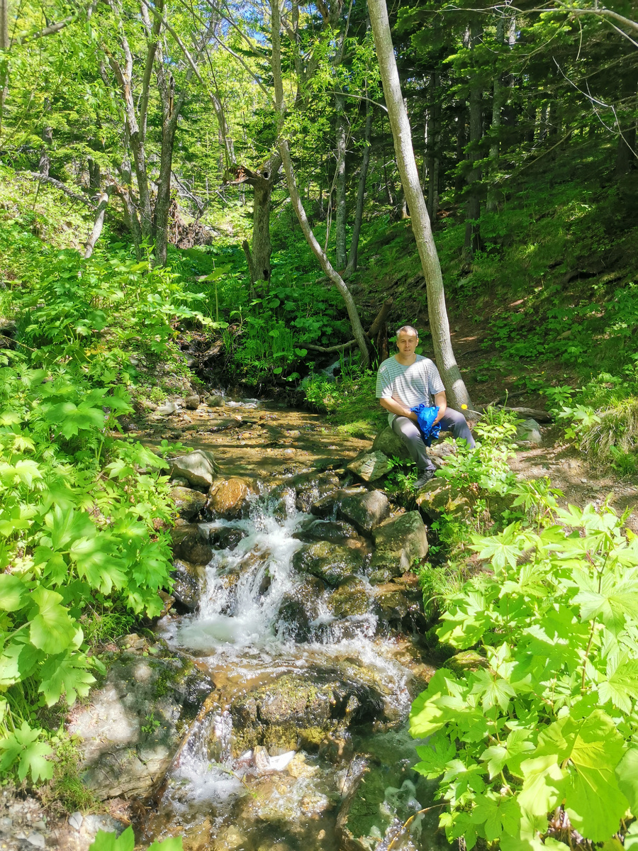 Все ручьи впадают в бегущую внизу речку.