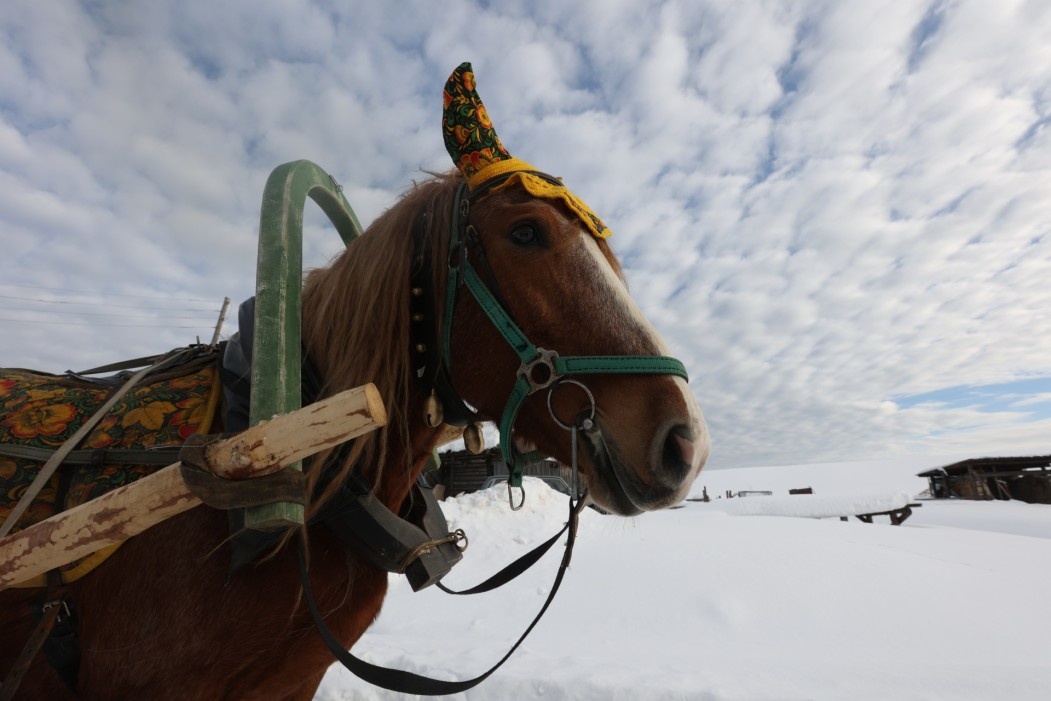 Фото БНК и с сайта avito.ru