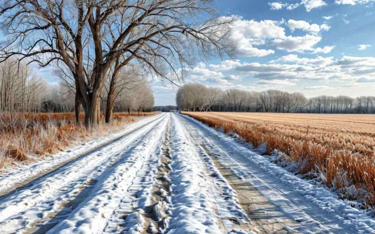    Убытки воронежских аграриев из-за погодных аномалий в 2024 году составили 27 млрд рублей Иллюстрация: нейросеть «Шедеврум»