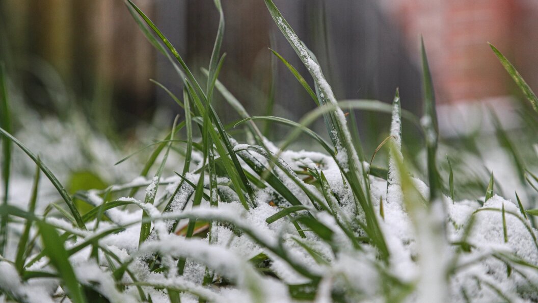    Bulkin Sergey/news.ru/Globallookpress