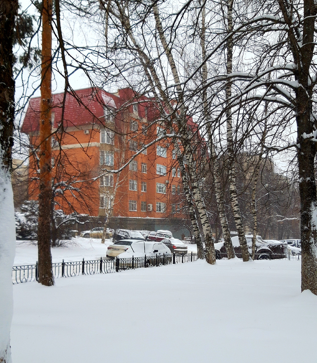 Фотография автора 