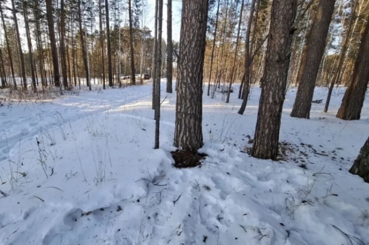    Под Тюменью ГИБДД задержала наркокурьера из Перми