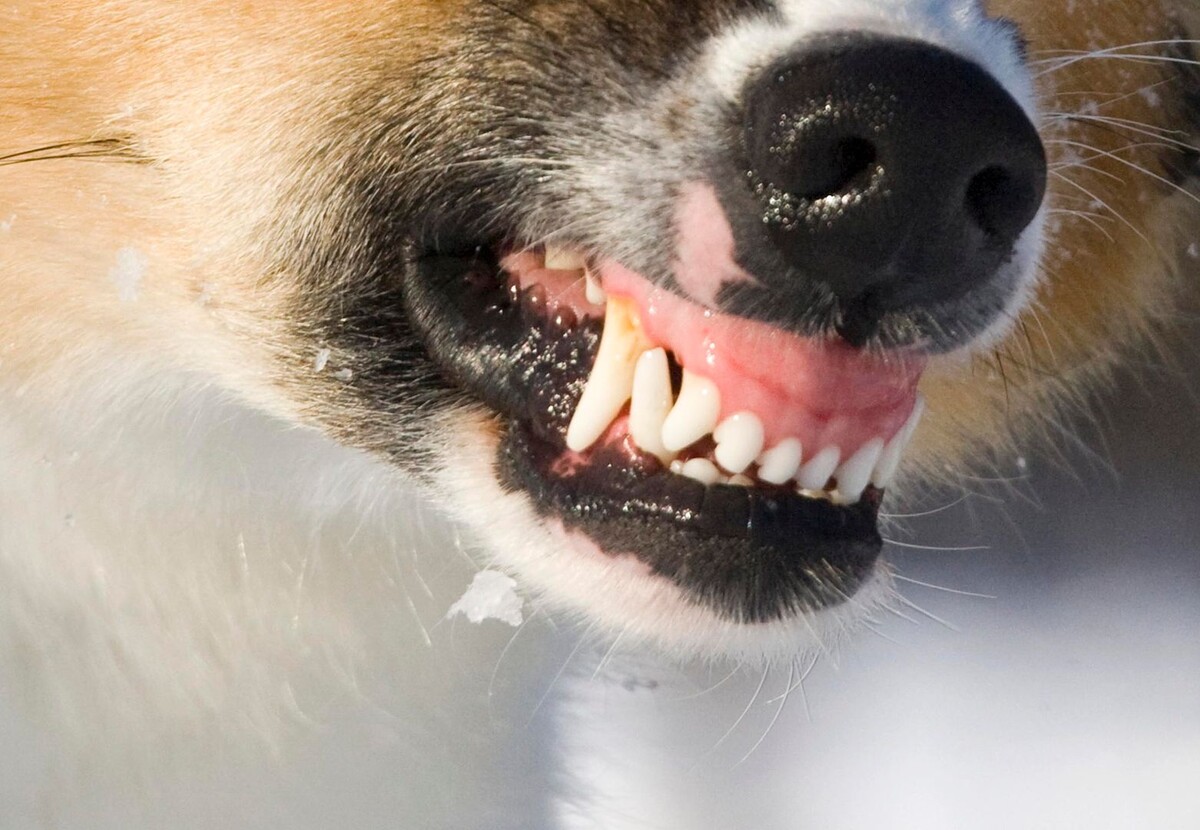     / Источник: © Global Look Press