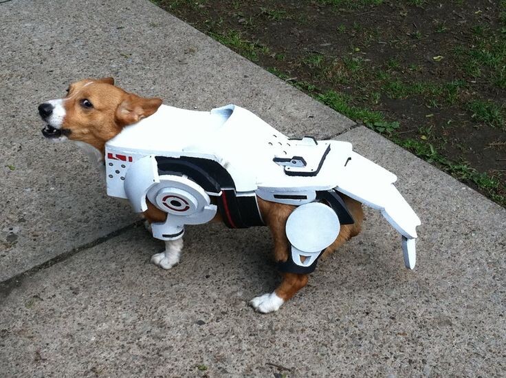 Примерно так представляли робота-собаку 5 лет назад