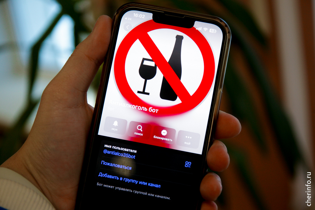    Новый сервис в "Телеграме" разработал Центр управления регионом совместно с УМВД по Вологодской области.