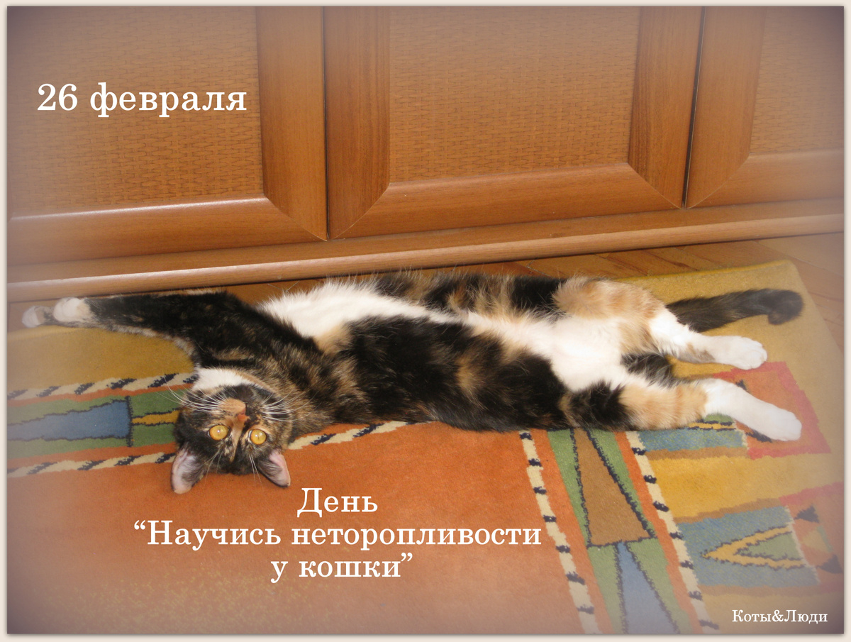 Коллаж автора