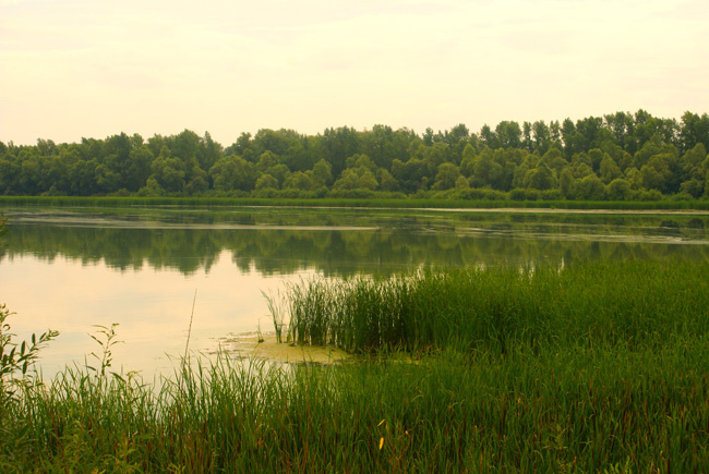    Фото: Павел Новиков, wikipedia