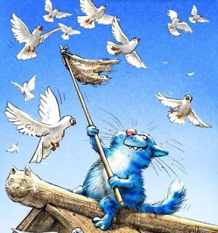 Источник изобоажениия : my.mail.ru›