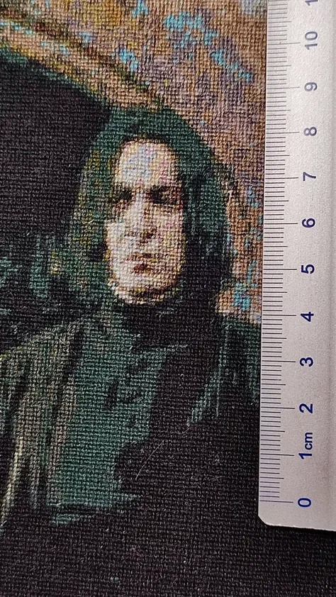 Профессор Снегг, вышивка полукрестом, масштаб