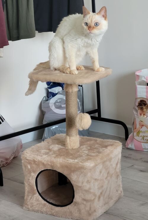 И незачем так орать! 