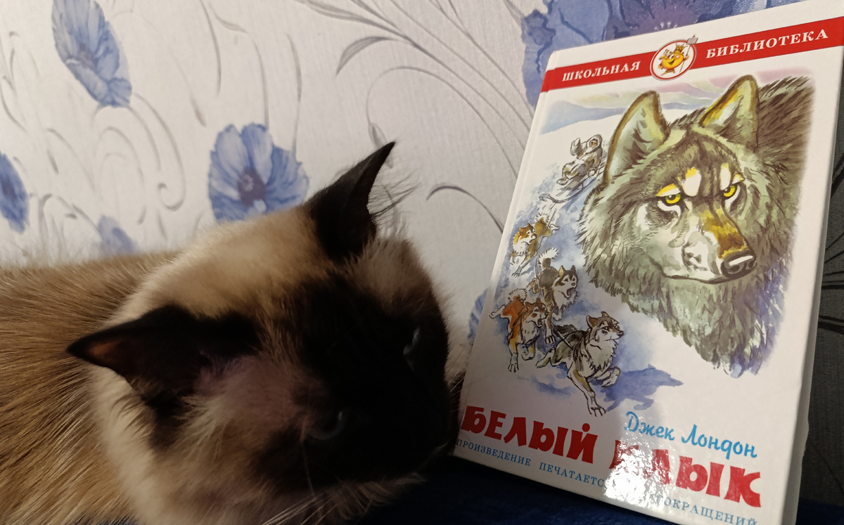 Книгу из домашней библиотеки, изданную издательством "Самовар", сегодня представляет Джессика. 