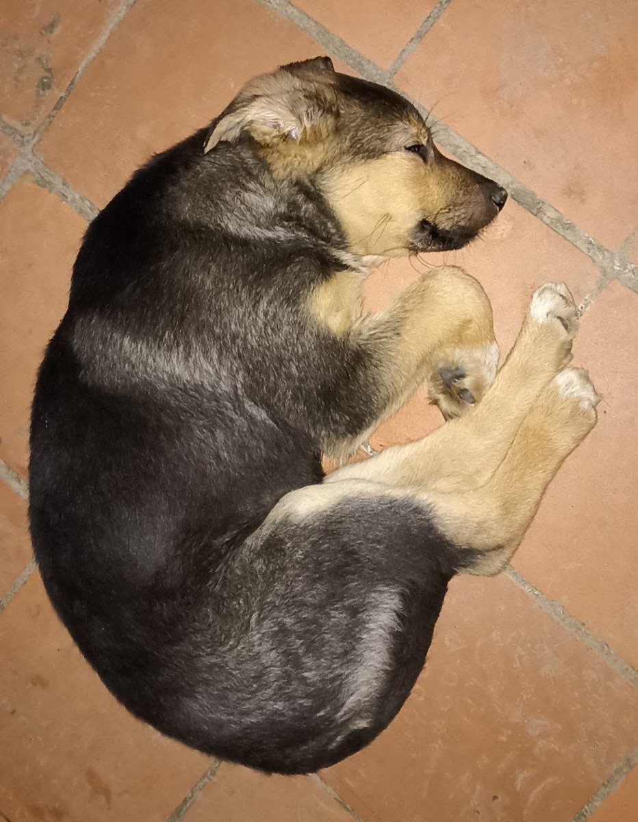 Так не должно быть. Никогда и ни с кем