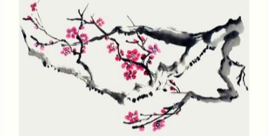 Произведениям гохуа свойственны философская глубина, поэтичность, тонкое чувство природы, тяга к вечным темам бытия. Характерными чертами являются: лаконичность, ясная композиция, выразительные и ритмичные контуры, повышение роли нейтрального фона, что в сочетании с разомкнутой композицией создаёт ощущение неограниченного пространства. Ещё одной особенностью является пометка картин печатью мастера, которая заменяет личную подпись.