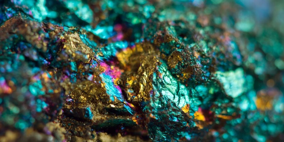 Фото: 123RF/assistant