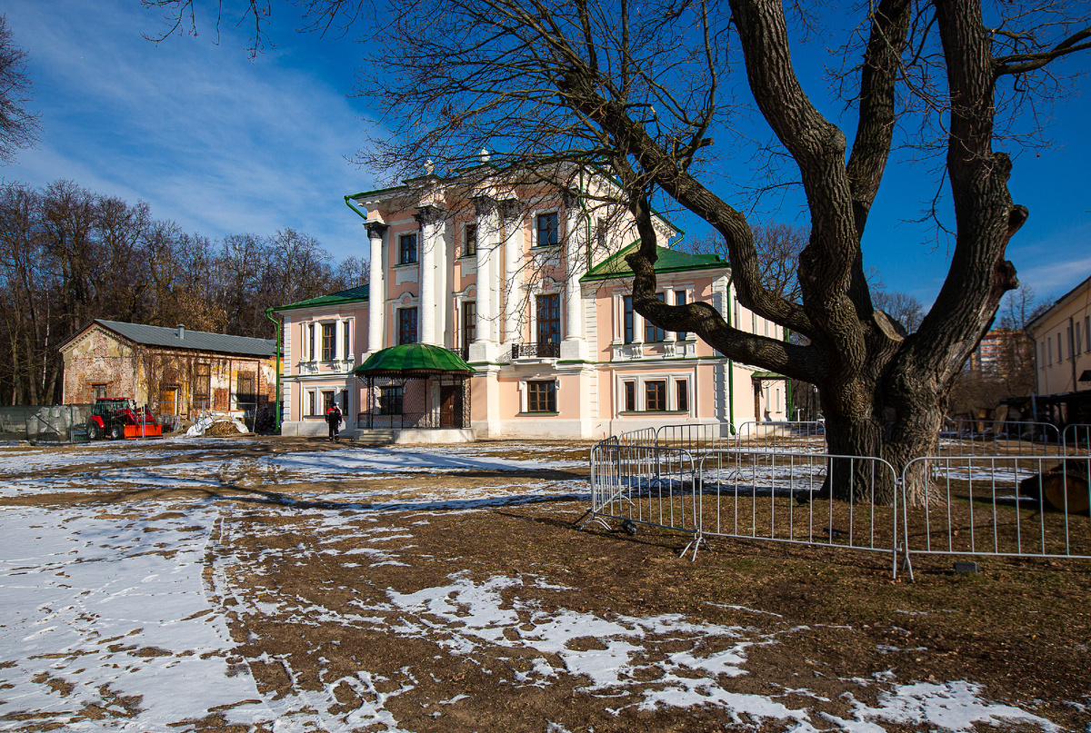 Усадьба Кривякино, главный дом и старинный дуб. Воскресенск, Московская область. Фото автора статьи